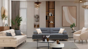 PARİS KOLTUK TAKIMI